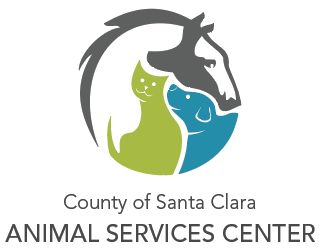 Santa Clara County Site Logo
